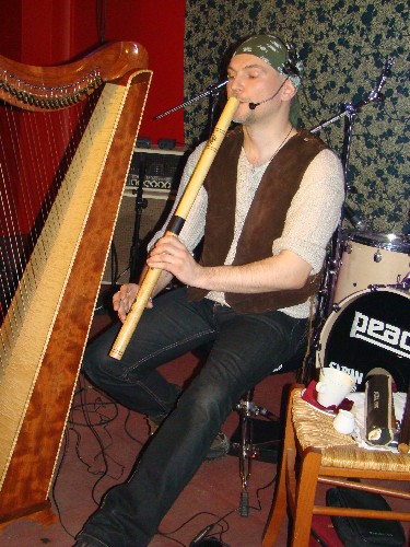 Элизбар - Кельтская арфа - приемы игры и нюансы звукоизвлечения. научиться играть и петь мастер-класс